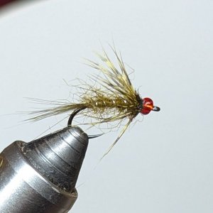 PXL_20250506_201102759.jpg