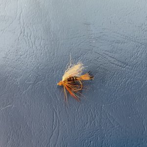 IMG_0128.jpeg