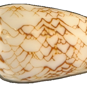 20250501_124818.png