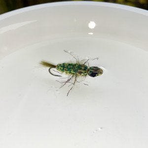 IMG_8838.jpeg