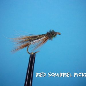 Red Squirrel Picket Pin.jpg