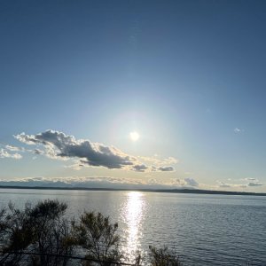 IMG_2286.jpeg