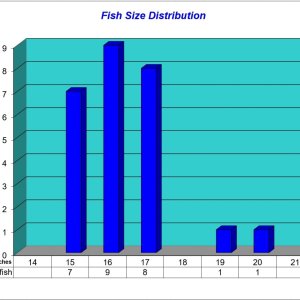 Fish Size Distribution 2025-05-10.jpg