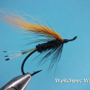 Weitchpec Witch.jpg