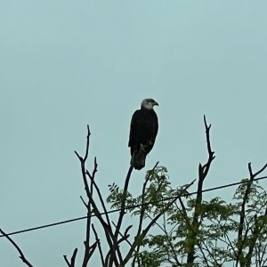 IMG_2357.jpeg