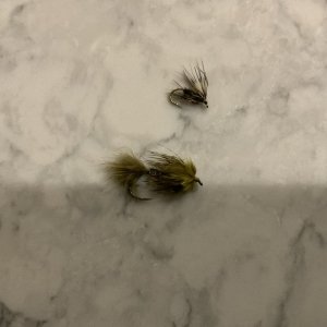 IMG_3392.jpeg