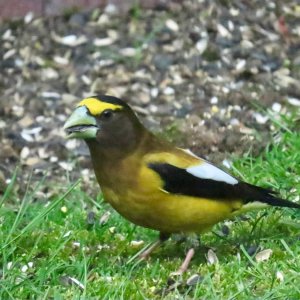 IMG_8907.jpeg