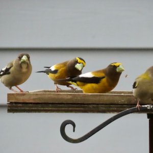 IMG_8875.jpeg