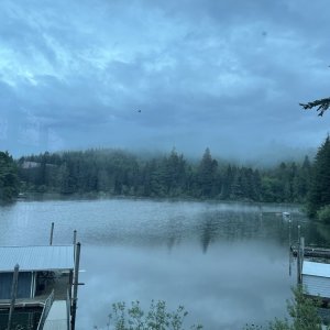 IMG_4593.jpeg