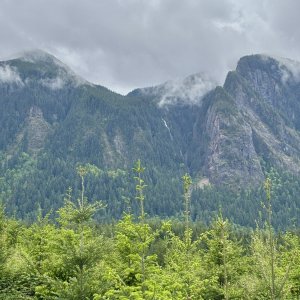 IMG_2241.jpeg