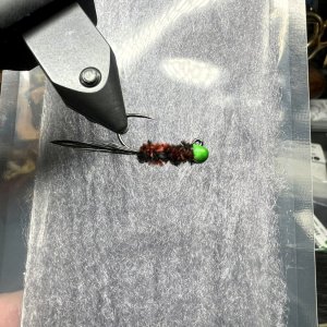 IMG_6280.jpeg