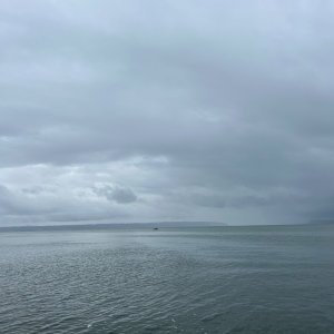 IMG_2572.jpeg