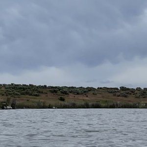 IMG_5534.jpg