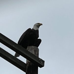 IMG_2416.jpeg
