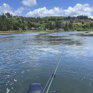 2025Maynarrows.jpg