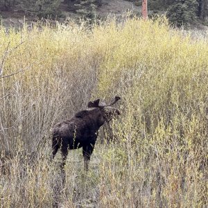 IMG_7327.jpeg