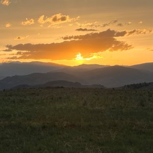 IMG_3499.jpeg