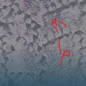1747972085721.png