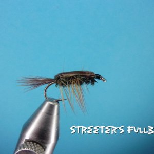 Streeter's Fullback.jpg