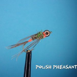 Polish Pheasant Tail.jpg