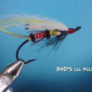 Rod's LiL Willy.jpg