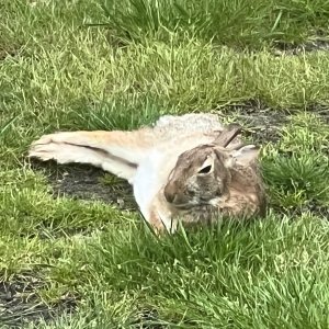 IMG_2510.jpeg