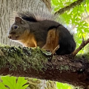 IMG_2530.jpeg