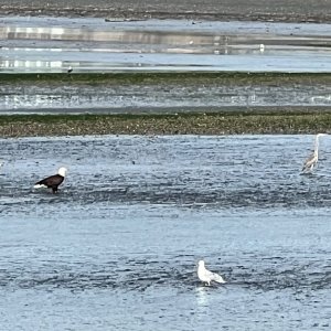 IMG_2518.jpeg