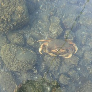 IMG_2542.jpeg