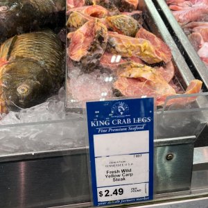 IMG_3980.jpeg