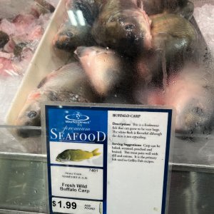 IMG_3978.jpeg