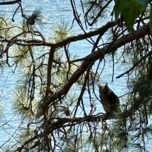 IMG_3087.jpeg