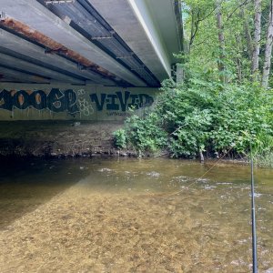 IMG_8861.jpeg