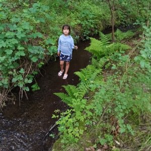 IMG_20250526_115025137.jpg