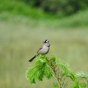 IMG_9073.jpeg
