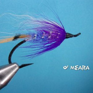 O' Meara.jpg