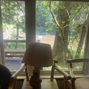 IMG_7351.jpeg