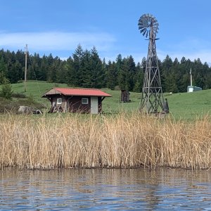 IMG_6460.jpeg