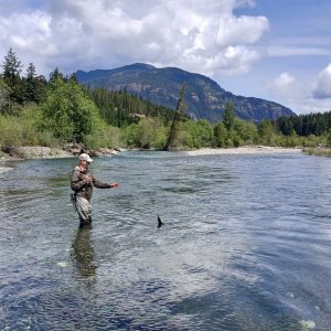 elk river 2025 3.jpg