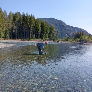 elk river 2025 10.jpg