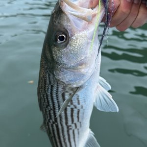 IMG_4406.jpeg