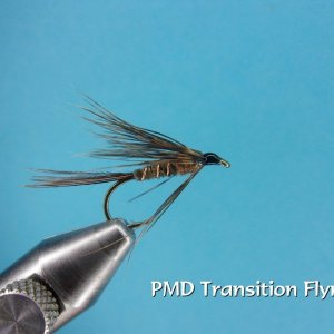 PMD Transition Flymph.jpg