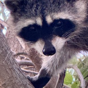 IMG_0488.jpeg
