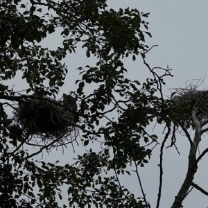IMG_2745.jpeg