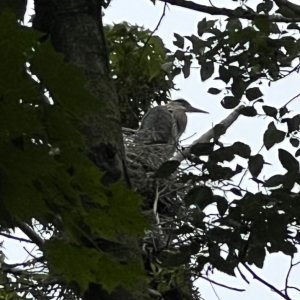 IMG_2748.jpeg