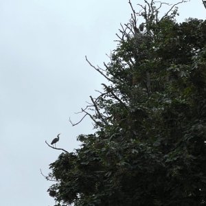 IMG_2753.jpeg