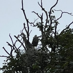 IMG_2754.jpeg