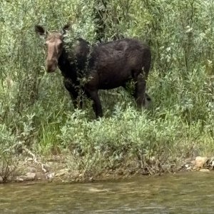 IMG_3143.jpeg