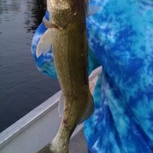 IMG_20140730_210311526.jpg