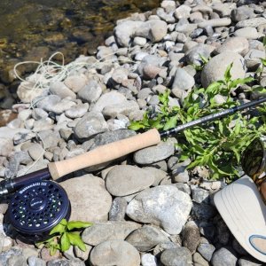 20250615_rod.jpg